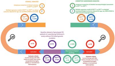 Genetically stratified Parkinson’s disease with freezing of gait is related to specific pattern of cognitive impairment and non-motor dominant endophenotype